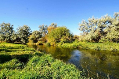 The Renegade Ranch is among the premier sporting ranches in the - photo 48