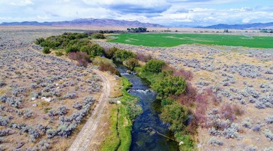 The Renegade Ranch is among the premier sporting ranches in the - photo 50