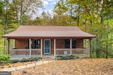 Lake Home For Sale in Ellijay, Georgia