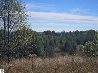 Lake Acreage For Sale in Lake City, Michigan