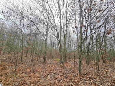 Lake Acreage For Sale in Lake City, Michigan