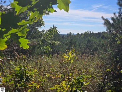 Lake Acreage For Sale in Lake City, Michigan