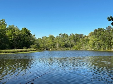 Looking for a weekend hunting/fishing retreat? THIS could be the - photo 2