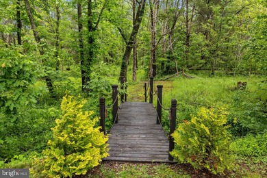 Nestled along the public side of Lake Anna in Frazier's Landing - photo 46