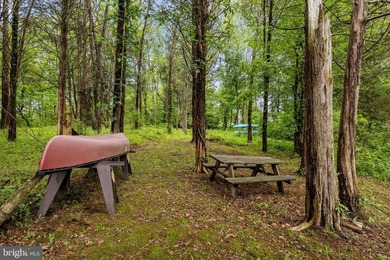 Nestled along the public side of Lake Anna in Frazier's Landing - photo 48