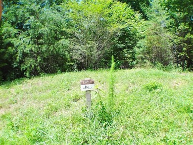 Lake Emory Lot For Sale in Franklin North Carolina