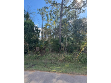 Location, Location, Location! This desirable lot is ready for - photo 3