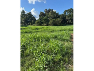 Lake Acreage For Sale in Jefferson, Georgia