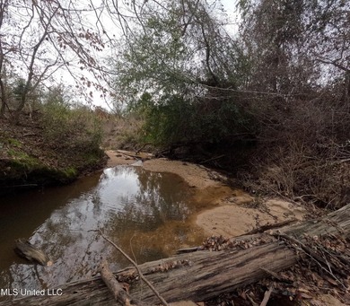 (private lake, pond, coastal) Acreage For Sale in Braxton Mississippi