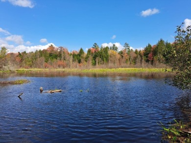 Lake Acreage For Sale in Chestertown, New York