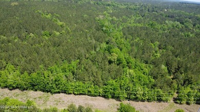 255+/- Acres | Hunting & Recreation Tract | Braxton, MS If - photo 6