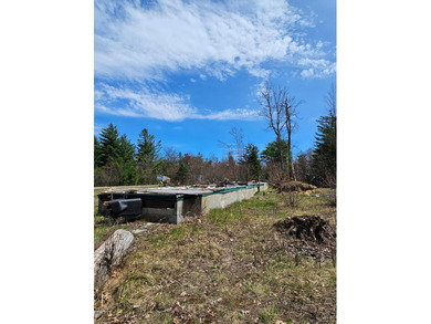111 Gazelle Dr - photo 7