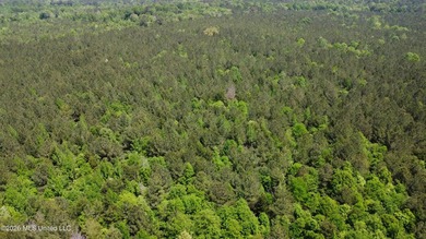 255+/- Acres | Hunting & Recreation Tract | Braxton, MS If - photo 8