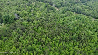 255+/- Acres | Hunting & Recreation Tract | Braxton, MS If - photo 9