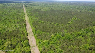 255+/- Acres | Hunting & Recreation Tract | Braxton, MS If - photo 10