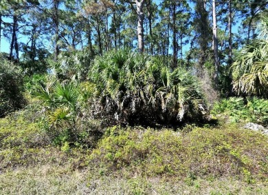 Northport Waterway Lakes and Canals Lot For Sale in North Port Florida