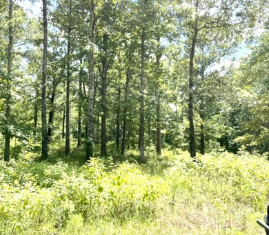 Lake Lot For Sale in Pachuta, Mississippi