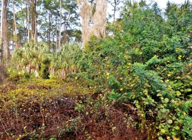 Northport Waterway Lakes and Canals Lot For Sale in North Port Florida