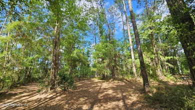 Investor or Handyman Special! CASH ONLY! Just 10 min North of - photo 9