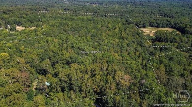 Lake Acreage For Sale in Danielsville, Georgia