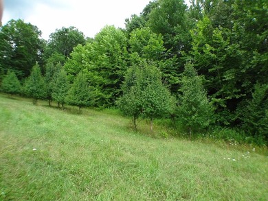 (private lake, pond, coastal) Lot For Sale in Franklin North Carolina