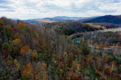 James River Acreage For Sale in Eagle Rock Virginia