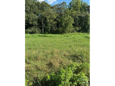 Lake Acreage For Sale in Jefferson, Georgia