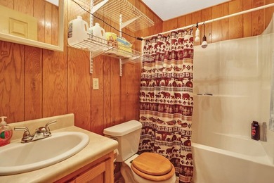 Mountain oasis on 93 unrestricted acres featuring two homes - photo 32