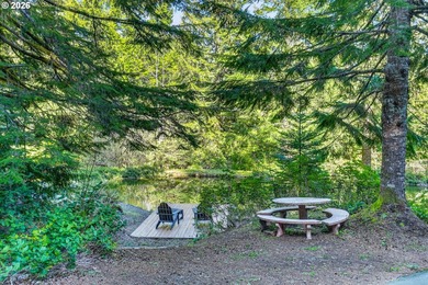 Gorgeous custom chalet on 20 secluded acres with stunning Mount - photo 37