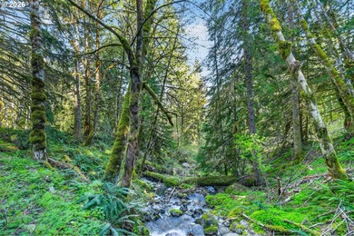 Gorgeous custom chalet on 20 secluded acres with stunning Mount - photo 40