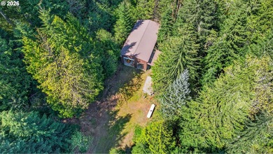 Gorgeous custom chalet on 20 secluded acres with stunning Mount - photo 41