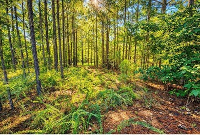 Welcome to 511 Terrapin Pointe Rd, where privacy, space, and - photo 4