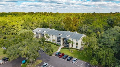 (private lake, pond, creek) Condo For Sale in Tarpon Springs Florida