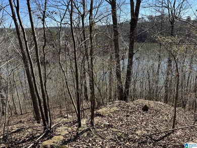 Highland Lake Lot For Sale in Oneonta Alabama