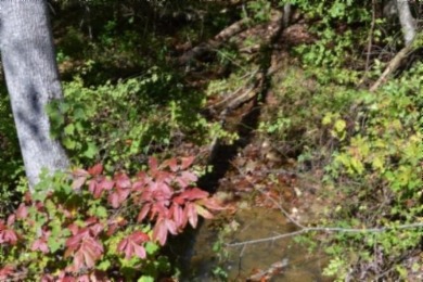 (private lake, pond, creek) Acreage For Sale in Monterey Tennessee