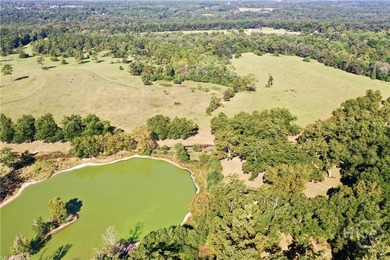 Discover a rare opportunity with this beautiful tract of land - photo 2