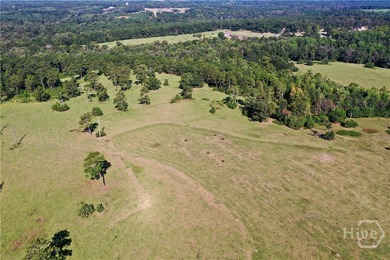Discover a rare opportunity with this beautiful tract of land - photo 3