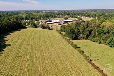 Discover a rare opportunity with this beautiful tract of land - photo 4