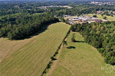 Discover a rare opportunity with this beautiful tract of land - photo 5