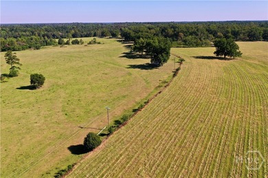 Discover a rare opportunity with this beautiful tract of land - photo 6