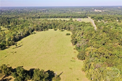 Discover a rare opportunity with this beautiful tract of land - photo 7