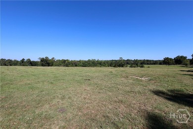 Discover a rare opportunity with this beautiful tract of land - photo 8