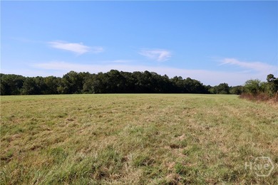 Discover a rare opportunity with this beautiful tract of land - photo 9