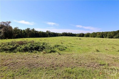 Discover a rare opportunity with this beautiful tract of land - photo 10