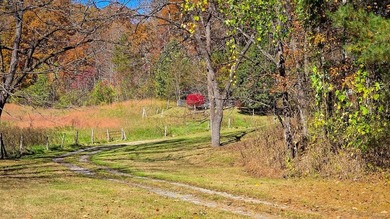 Prime development or investment opportunity just minutes from - photo 1
