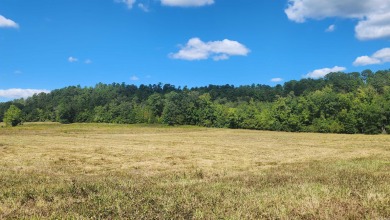 Lake Ouachita Acreage For Sale in Story Arkansas