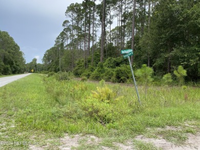 Lake George Lot For Sale in Georgetown Florida