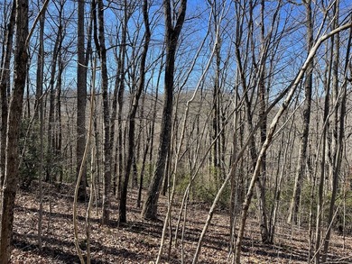Lot in Mountain Harbour. Mountain Harbour is a gated community - photo 2