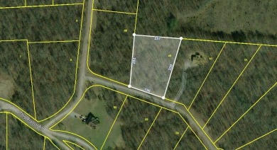 Lake Lot For Sale in Spencer, Tennessee