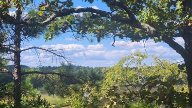 Lake Ouachita Acreage For Sale in Story Arkansas